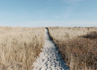 Podstawowe informacje na temat tanich linii lotniczych