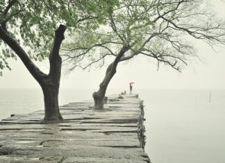 Ile powinien wystawać krawężnik?