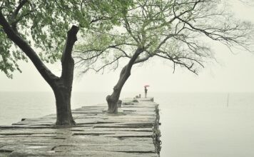 Ile powinien wystawać krawężnik?