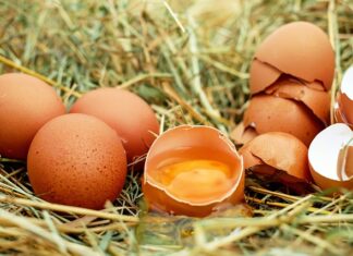 Jak długo można przechowywać jajka wiejskie?