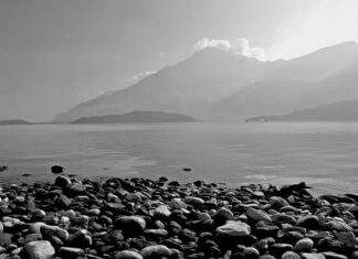 Ile kosztuje raca na mecz?