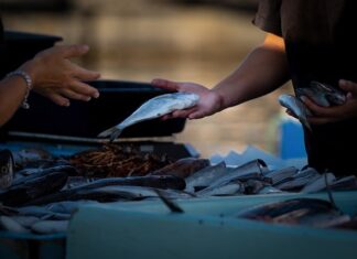 Gdzie najlepiej sprzedawać części samochodowe?