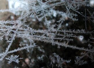 Czy można mrozić mięso w opakowaniu?