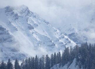 Czy można zrobić przegląd auta na niemieckich numerach w Polsce?
