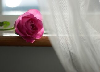 Co to znaczy mb firanki?