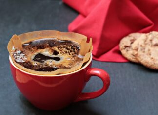 Czy filtr musi być cały czas zanurzony w wodzie?